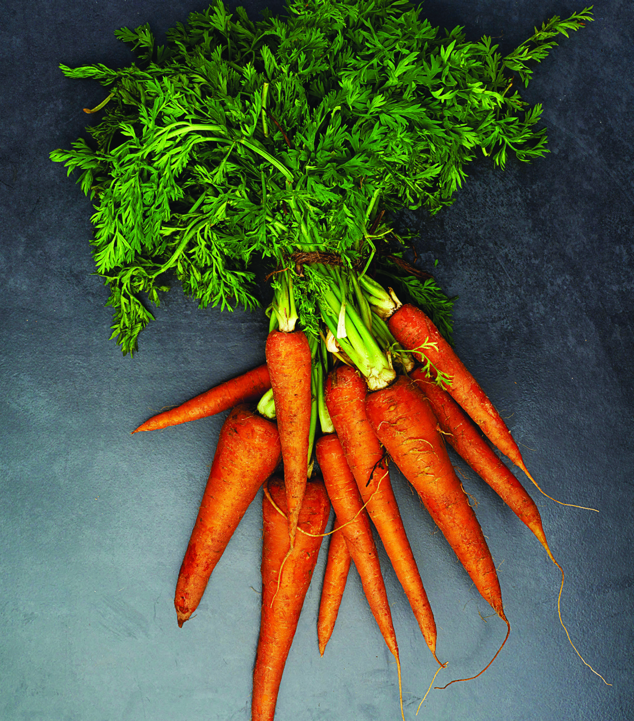 A Prescription For Gardening